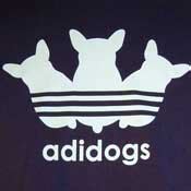 Adidas Logo Parody