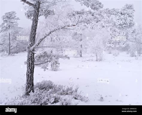 Europe, Germany, Bavaria, UNESCO Rhön Biosphere Reserve, Bavarian Rhoen ...