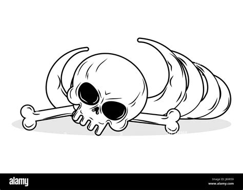 Remains of skeleton. Bones and skull on white background. death Illustration Stock Vector Image ...