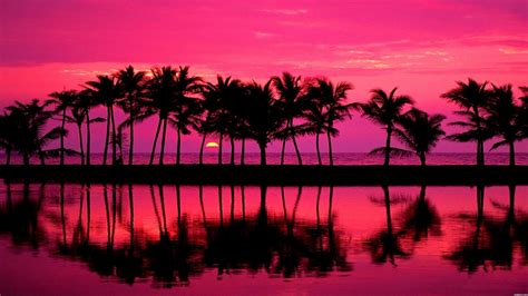 Pink Beach Sunset Wallpapers - Top Free Pink Beach Sunset Backgrounds - WallpaperAccess