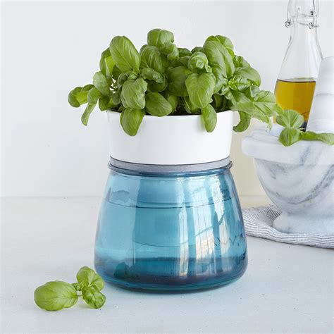 Self-Watering Kitchen Herb Pot | Indoor Herb Planter, Herb Container Garden | UncommonGoods