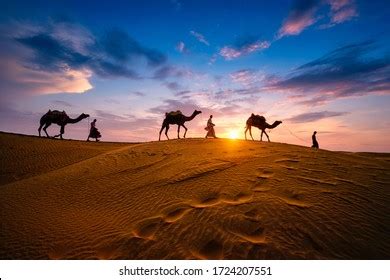 263,812 Camel Royalty-Free Photos and Stock Images | Shutterstock