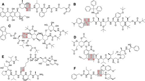 Examples for different chemical linkages. (A) amide (CAS RN ...