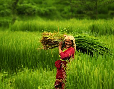 Agriculture Tour in Nepal | Nepal Tour Advisor