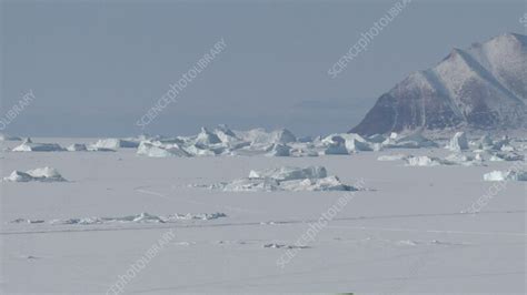 Sea ice and icebergs, Greenland - Stock Video Clip - K011/9273 ...