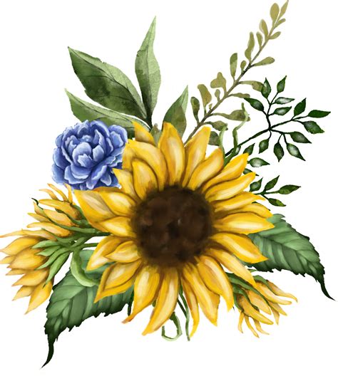 Sunflower Clipart Bouquet Sunflower Png Watercolor Clipart Etsy | Images and Photos finder
