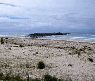 Deserted beaches hide evidence of thousands of years of Aboriginal history - Earthzine