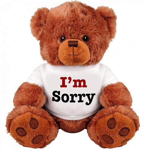 Cute Im Sorry Gifts - Jaleada Mapanfu