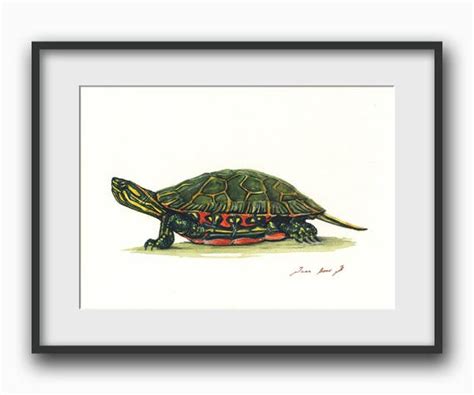 Western Painted Turtle Tortoise Painting Painted Turtle | Etsy