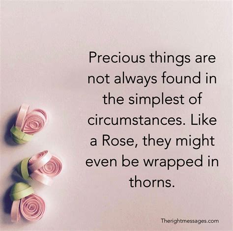 30 Rose Quotes That Reminds You Of The Significance Of Roses | The Right Messages | Rose quotes ...