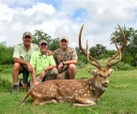 texas-axis-hunts - OX Ranch