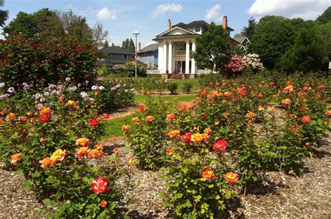 Rose Garden Events Portland Oregon | Fasci Garden