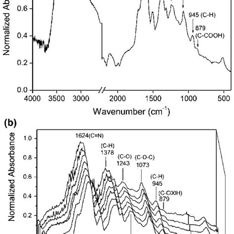 a FTIR spectrum of betanin in the region of 4000-400 cm -1 . b FTIR... | Download Scientific Diagram