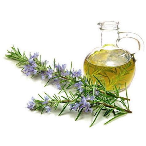 How To Use Rosemary Oil To Help With Hair Loss - Remedies Lore