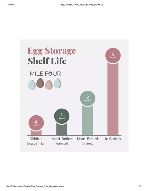 Egg Storage Shelf Life | PDF