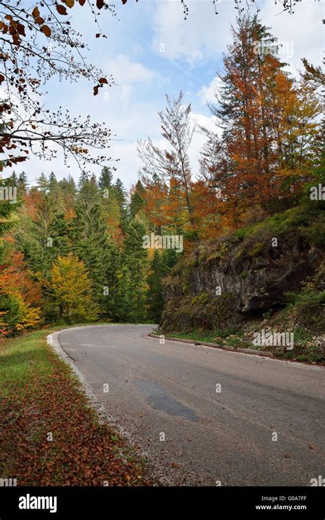 Road in Autumn Forest Stock Photo - Alamy