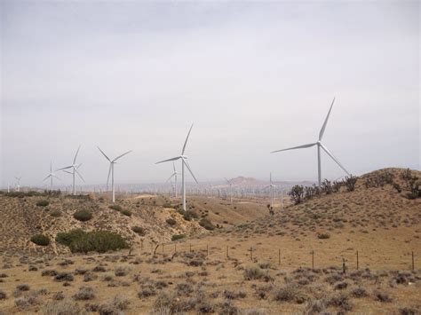 Wind farm walking – Stephanie Reighart