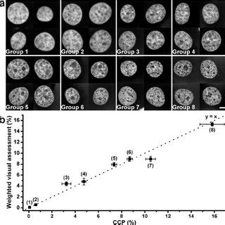 (PDF) Quantification of chromatin condensation level by image processing