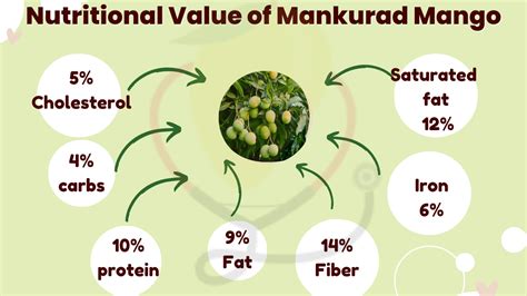 Mankurad Mangoes- Origin, Cultivation, Characteristics, Nutrition, Benefits, & Delicious Recipes ...