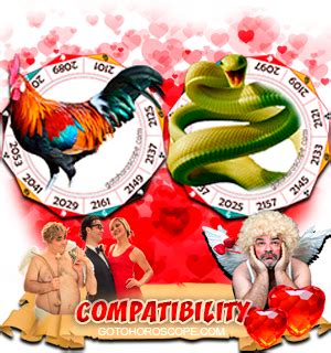 Rooster Woman And Snake Man Compatibility - Snake Poin