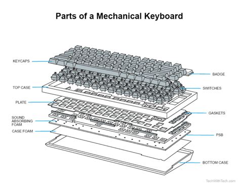 Mechanical Keyboard Parts: Names & Functions? - Tech With Tech