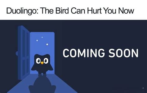 Hilarious Duolingo Owl Memes that will Make Your Day