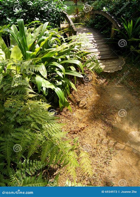 Wood bridge in garden stock image. Image of lanes, leaf - 6934973