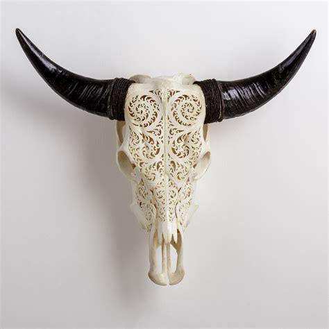 Carved Cow Skull // XL Horns // 6 Circles - Skull Bliss - Touch of Modern