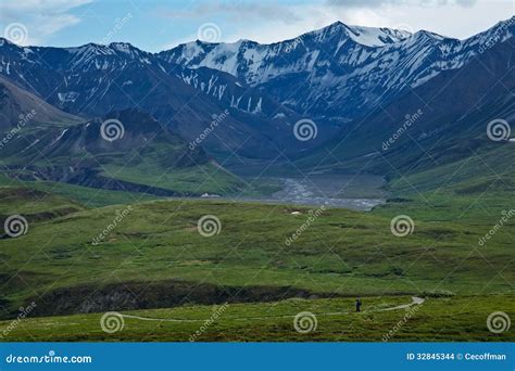 Hiking in Denali National Park Editorial Stock Image - Image of holiday ...