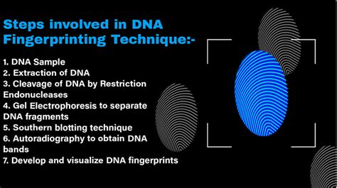 DNA Fingerprinting: Steps and Applications