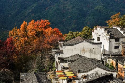 Autumn colors envelop Wuyuan county - Chinadaily.com.cn