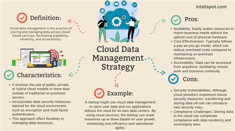 14 Data Management Strategies: Examples, Pros, Cons