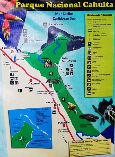 Cahuita National Park Costa Rica Mytanfeet Visitor's Guide