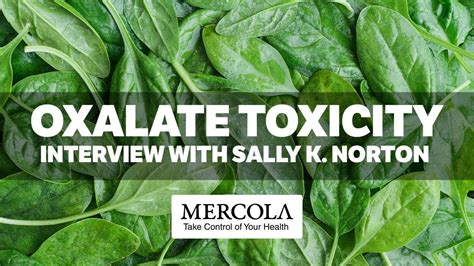 Oxalate Toxicity – Interview Preview with Sally K. Norton - The BATTLEFRONT