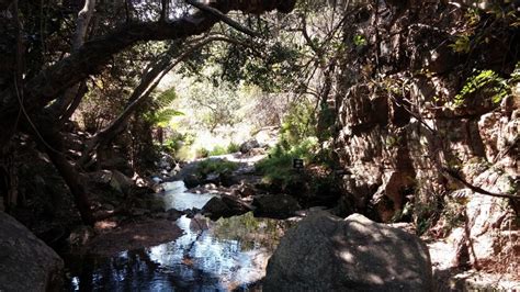 Book tickets for Family Day Hike, Kranskloof Gorge Hiking Trail, Buffelspoort, 6 April, Saturday