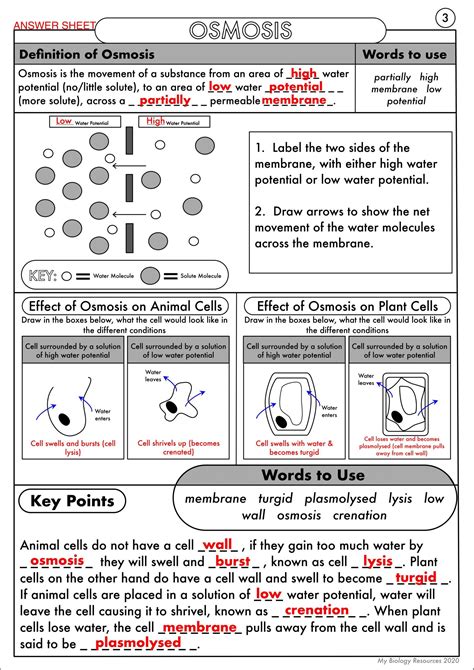 osmosis high yield notes free download - blackmetallicwallpaperforwalls