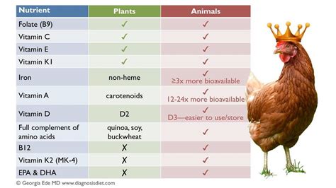 Nutrients - Plant vs Animal Sources