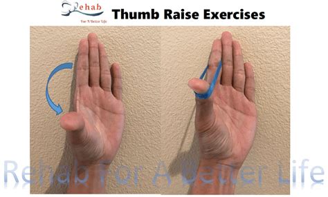 Thumb Raise Ex - REHAB FOR A BETTER LIFE