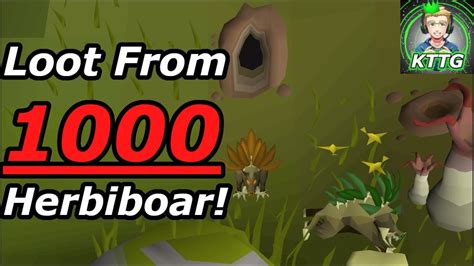 Loot From 1,000 Herbiboar! OSRS! #osrs - YouTube