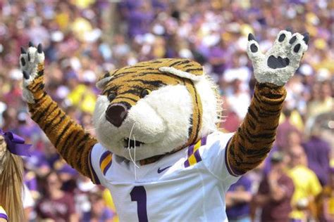 Louisiana State University mascot Mike the Tiger. | Mascot, Louisiana state university, Louisiana