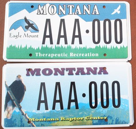 Chris Woodcock's BIRD License Plates