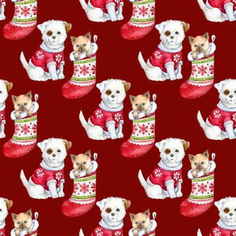 Christmas Puppy Kitten Wallpaper Free Stock Photo - Public Domain Pictures