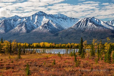 Along the Alaska Autumn Trail | T.Ganner Photography