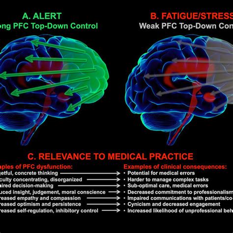 The higher cognitive functions of the prefrontal cortex are impaired by... | Download Scientific ...