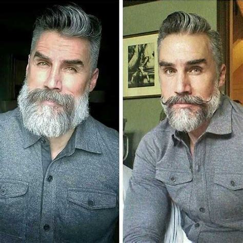 Salt And Pepper Beard Color