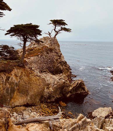 Lone Cypress (Pebble Beach) - 2021 All You Need to Know BEFORE You Go (with Photos) - Tripadvisor