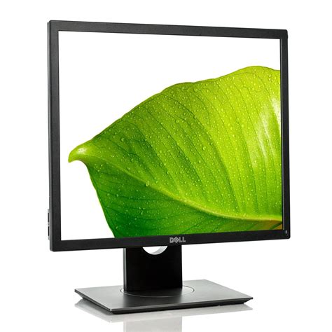 Dell Professional 19 Inch Square LED Monitor P1917S, Black : Amazon.in ...