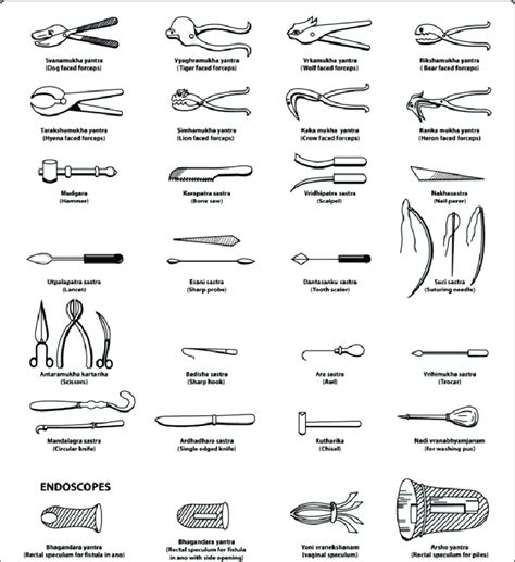 Surgical instruments from the Sushruta Samhita. | Download Scientific ...