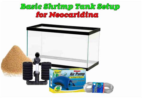 Basic Shrimp Tank Setup for Neocaridina. - Shrimp and Snail Breeder