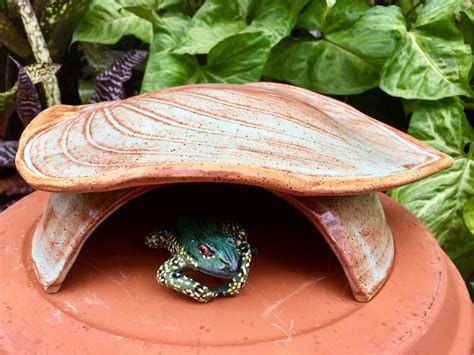 Toad Abode Frog House For Green Gardening Hosta Leaf Unique